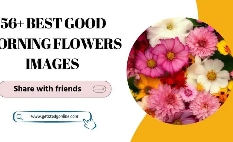 56+ Best Good Morning Flowers images | flower beautiful thought good morning 2024