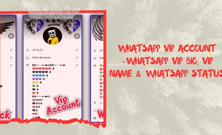 WhatsApp vip account -Whatsapp vip bio, vip name & Whatsapp status
