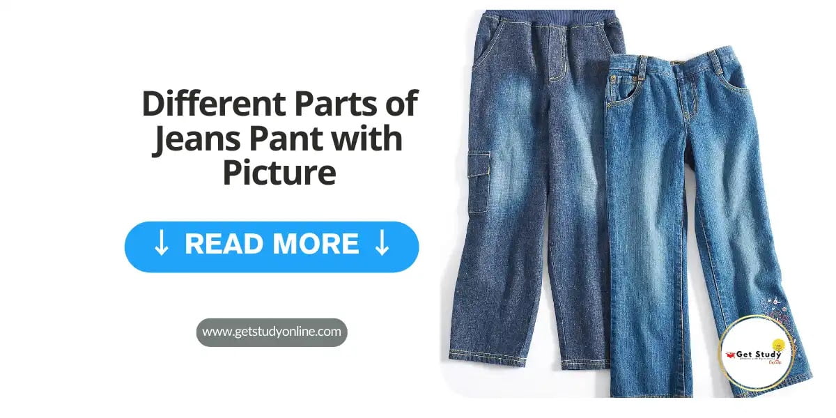 Different Parts of Jeans Pant with Picture 2024